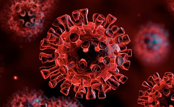 PTE: sikerült meghatározni a vírus teljes genetikai kódját