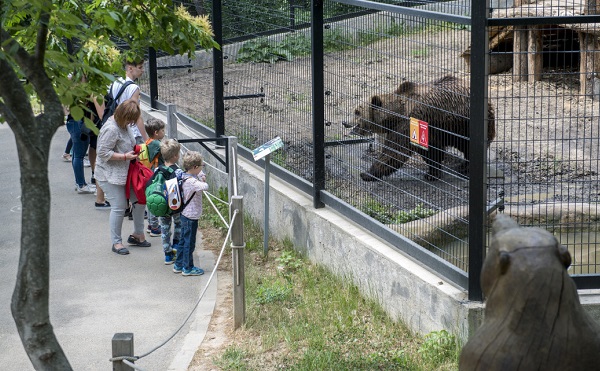 Új fajok bemutatását tervezi és különleges programokat tart a pécsi állatkert