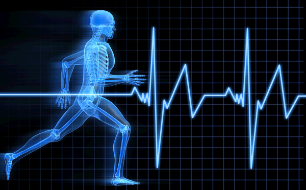 1,4 milliárdos sportkutatás a pécsi egyetem vezetésével