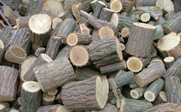 A Mecsekerdő Zrt. több mint 12 ezer köbméter tüzelőt szállított