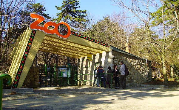 Rekordbevételt ért el tavaly a pécsi állatkert