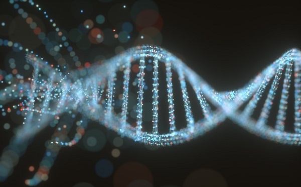 Bioinformatikai elemző programcsomagot dolgoznak ki a PTE-n