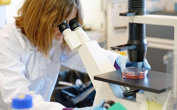 PTE: sikerült meghatározni a vírus teljes genetikai kódját