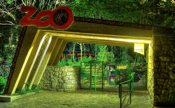 Adománygyűjtés indult a pécsi állatkert számára