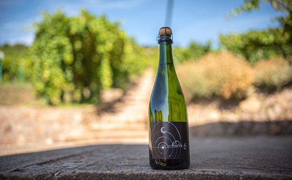 Elkészült a PTE borászati kutatóintézetének első pezsgője