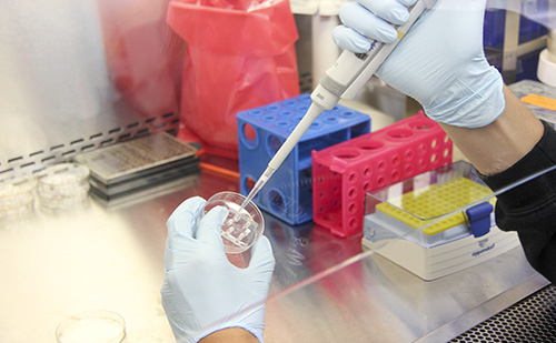 Lezáródott egy gyógyszeripari fejlesztés a PTE-n