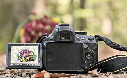 A PTE fotópályázatán nemcsak magyar helyezettek vannak