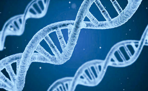 Csúcstechnológiás géppel vizsgálják a genetikai jellemzőket a PTE-n