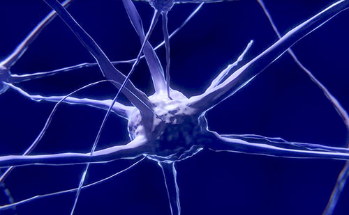 Idegrendszeri zavarok kezelését kutatják a PTE-n