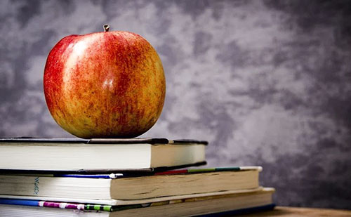 Több éves kutatás-fejlesztési program záródott a PTE-n