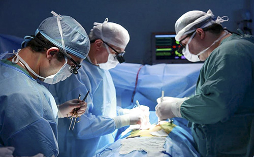 Skill-laborhálózatot hoztak létre a Pécsi Tudományegyetem közreműködésével