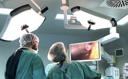 Robotsebészeti eszközt adtak át Pécsen